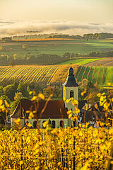 FRANCE  Alsace  Bas-Rhin (67)  Northern Vosges Regional Nature Park  Rott vineyard in autumn and St. George's Church