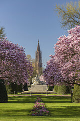 FRANCE  Alsace  Bas-Rhin (67)  Strasbourg  Place de la République Magnolias tree in bloom at spring and Strasbourg Cathedral