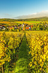 FRANCE  Alsace  Bas-Rhin (67)  Northern Vosges Regional Nature Park  Vineyard and village of Cleebourg in autumn