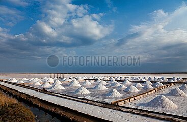 France. Aude (11) Gruissan. The salt marshes of the island of St Martin