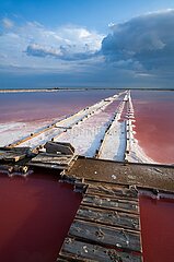 France. Aude (11) Gruissan. The salt marshes of the island of St Martin