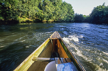 France. Aquitaine. Gironde (33). Bassin d'Arcachon. Canoeing down the river Leyre which flows into the Arcachon basin