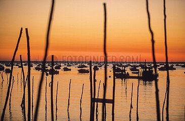 France. Gironde (33) Arcachon basin. Sunrise over the boats of Piraillan  on the west bank of the basin
