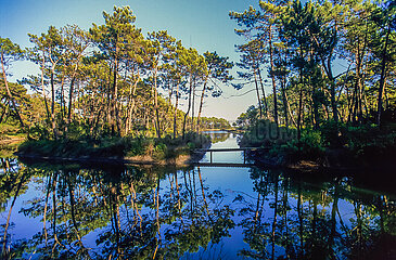 France. Aquitaine. Gironde (33). Bassin d'Arcachon. The Piraillan reservoir  a preserved natural space