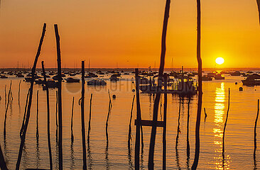 France. Gironde (33) Arcachon basin. Sunrise over the boats of Piraillan  on the west bank of the basin
