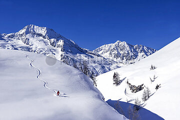 France. Alps. Savoie (73) Sainte Foy Tarentaise  off-piste skiing above the hamlet of Monal  back to Mont Pourri mountain (3770 m)