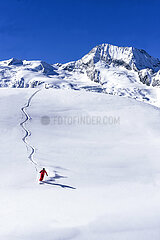 France. Alps. Savoie (73) Sainte Foy Tarentaise  off-piste skiing above the hamlet of Monal  back to Mont Pourri mountain (3770 m)