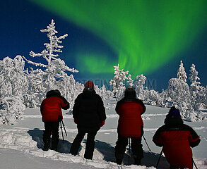 Finland. Lapland. National Park. Northern lights