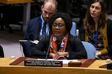 UN-SECURITY COUNCIL-SITUATION OF PIRACY IN GULF OF GUINEA-MEETING