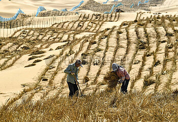 Xinhua Headlines: China's Ningxia taps desert resources to realize green development