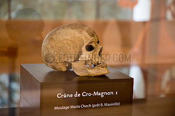 FRANCE  DORDOGNE  PERIGORD NOIR  Les Eyzies de Tayac  Museum of Prehistory of Eyzies de Tayac  casting of the Cro-Magnon skull