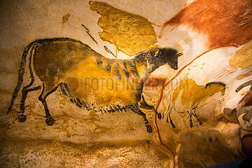 FRANCE  DORDOGNE  PERIGORD NOIR  Lascaux IV Center International d'Art Parietal is the complete and unpublished replica of the cave and 6 exhibition rooms retracing the history of the discovery of Lascaux  its place in world parietal art and contemporary creation. Axial diverticulum. The two most famous Chinese horses (in fact  there are six of them  three on each wall  facing each other). They are very characteristic of the conventions of the Lascaux painters: small and slender head  swollen belly with indicated coat and shoulder lines  short and lively limbs  rounded hooves  seen from the front. The straightened position of the forelimbs of the horse on the left evokes a stallion following a mare.