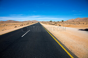 NAMIBIA. Karas. Sperrgebiet National Park  asphalt road