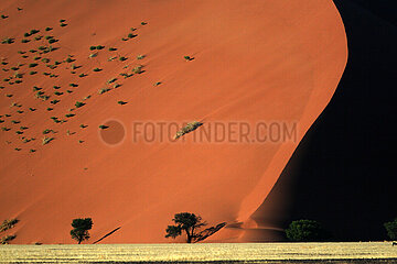 NAMIBIA. Namib-Naukluft National Park  Sossusvlei and its red dunes. Dune 45 is located at the 45th kilometer of the road starting from the locality of Sesriem  in the northeast  and crossing from east to west the Sossusvlei  a salt flat in the Namib desert surrounded by high dunes; the mileage gives its name to the place. The foot of the dune is only 300 m south of the road  directly accessible by all-terrain vehicle. The dune culminates at more than 450 m altitude. It is made up of sand pulled from the Kalahari Desert by the Orange River for five million years and then accumulated by the winds there.