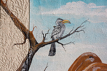 NAMIBIA. Animal painting  yellow-billed hornbill drawn on the walls of a villa in Windhoek