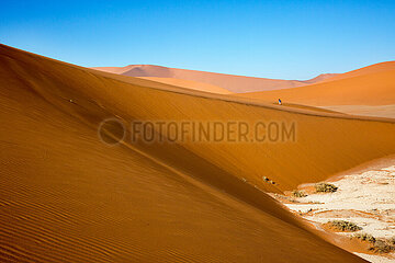 NAMIBIA. Namib-Naukluft National Park  walkers on Big Daddy red sand dune of Sossusvlei