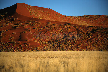 NAMIBIA. Namib-Naukluft National Park  Sossusvlei red sand dunes