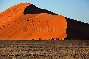 NAMIBIA. Namib-Naukluft National Park  Sossusvlei and its red dunes. Dune 45 culminates at more than 450 m altitude.