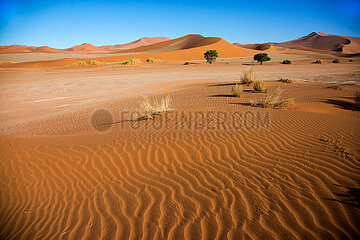 NAMIBIE. Parc national de Namib-Naukluft  Sossusvlei et ses dunes rouges