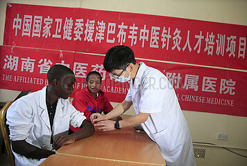 Simbabwe-Harare-Traditionaler chinesischer Medizinzentrum