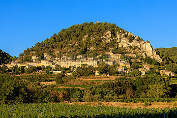 FRANCE. Provence. Vaucluse (84) Vineyard in autumn  at the foot of the village of Seguret  labeled as one of the most beautiful villages in France