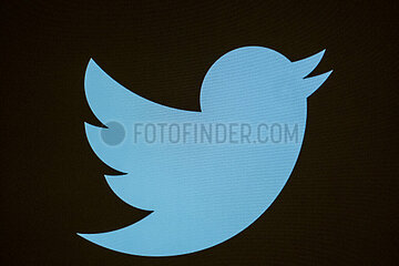 Deutschland  Bremen - Der blaue Vogel  das twitter-Logo auf einem Bildschirm