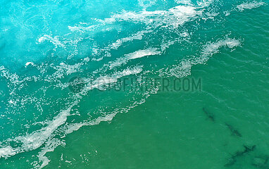 Israel-Hadera-Mediterranean Sea-Sharks