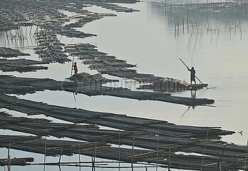 Indien-Agartala-Transport von Bambus-River
