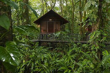 Costa Rica. National park of Tortuguero  Evergreen lodge bungalow in jungle