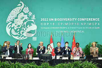 Xinhua Schlagzeilen: Landmark Deal setzt Welt auf dem Weg zur Umkehrung der biologischen Vielfaltsverlust