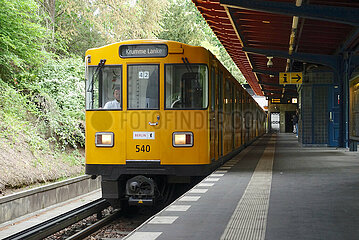 Berlin  Deutschland  U-Bahn der Linie 3 faehrt in den Bahnhof Dahlem-Dorf ein