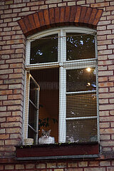 Berlin  Deutschland  Katze schaut aus einem offenen Fenster heraus