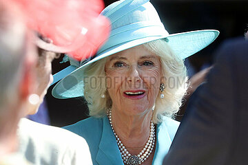 Royal Ascot  Portrait of HRH Camilla  Duchess of Cornwall