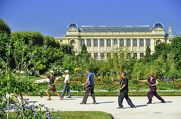 France. Paris (75) 5th arrondissement  Jardin des Plantes  National Museum of Natural History  Chinese tai-chi gymnastics class
