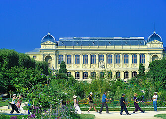 France. Paris (75) 5th arrondissement  Jardin des Plantes  National Museum of Natural History  Chinese tai-chi gymnastics class