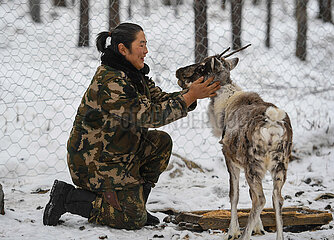 China-innerer Mongolei-Emenki Ethnic Group-Rindeer Herder-Life (CN)