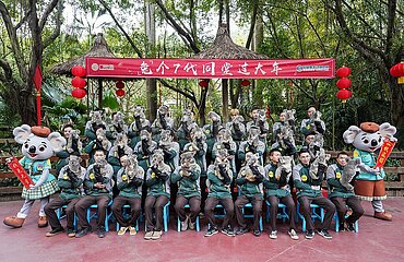 China-Guangzhou-Spring Festival-Koala (CN)