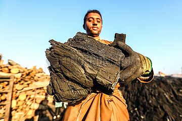 Ägypten-Sharqia-Charcoal-Arbeiter