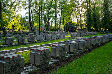 Polen  Warschau - Graeberfeld von Kaempfern der Heimatarmee (Armia Krajowa) des Warschauer Aufstands 1944  Powazki Militaerfriedhof (Cmentarz Wojskowy)