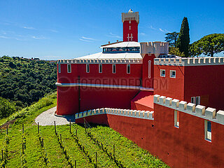 France. French Riviera. Alpes-Maritimes (06) Nice. Aerial view of the Chateau de Cremat. Vast neo-Tuscan style family winery  the Chateau offers a unique panoramic view of the city of Nice