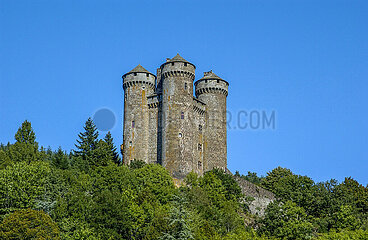 France. Auvergne. Cantal (15) Regional natural park of the volcanoes of Auvergne. The castle of Anjony  near the village of Tournemire