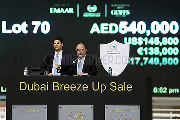 Dubai  Goffs auctioneer Nick Nugent in action