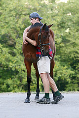 Gestuet Westerberg  Pferdepfleger umarmt ein Pferd