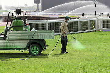 Dubai  Vereinigte Arabische Emirate  Mann besprueht verdorrten Rasen mit gruener Farbe