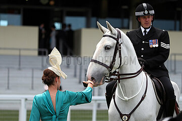 Ascot  Grossbritannien  elegant gekleidete Frau mit Hut streichelt ein Polizeipferd