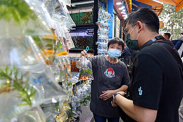 Hong Kong  China  Mann kauft Zierfische in einer Tierhandlung