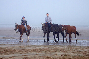 Deauville  Polopferde werden am Strand von Reitern ausgefuehrt