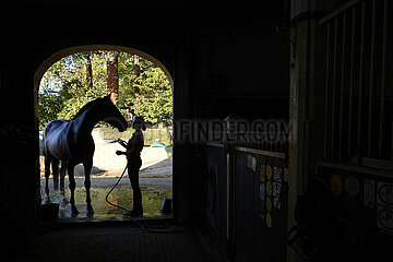 Gestuet Westerberg  Silhouette: Pferd wird vor dem Stall abgeduscht