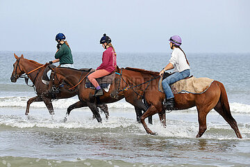 Deauville  Galopprennpferde bei einem Ausritt am Strand