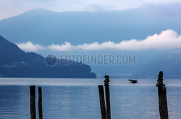 Schweiz  Ascona - Herbstliche Stimmung in der Morgendaemmerung am Lago Maggiore